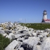 lighthouse_island_seal_machias_h_3001_can1650.jpg